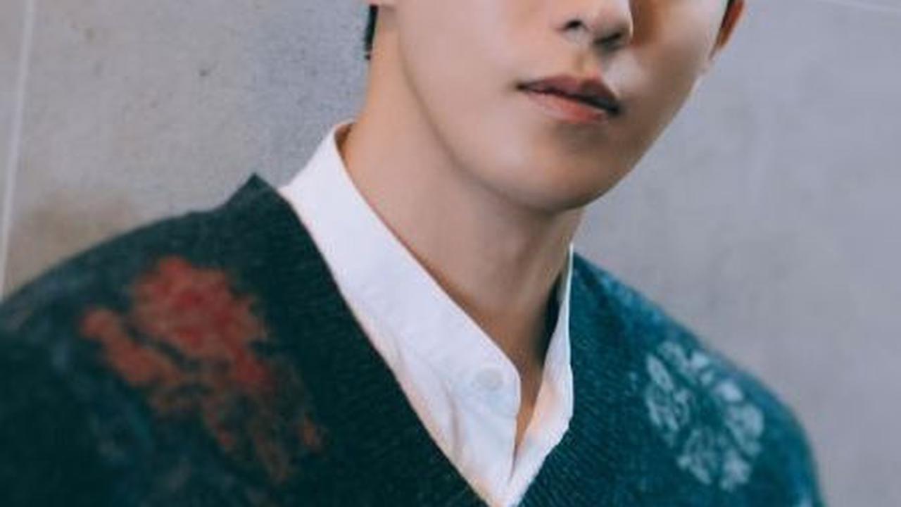 Namun, sebelum ia memasuki masa dinas militer, Nam Joo Hyuk telah menghadirkan berbagai peran menarik dalam dunia drama Korea.