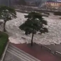 Begitu pilu melihat video-video Topan Chaba yang menyerang Busan, Korea Selatan di internet. (Via: twitter.com/video)