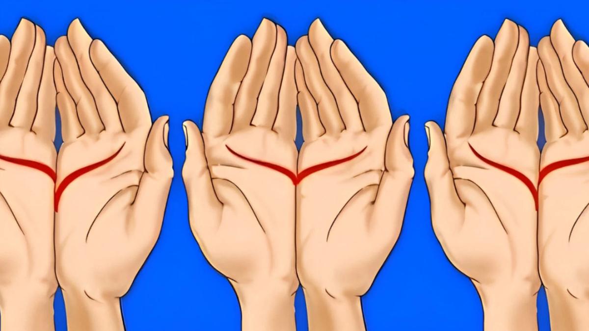 Cek Kepribadianmu dari Garis Tangan: Apakah Kamu Mandiri, Setia, atau Petualang?