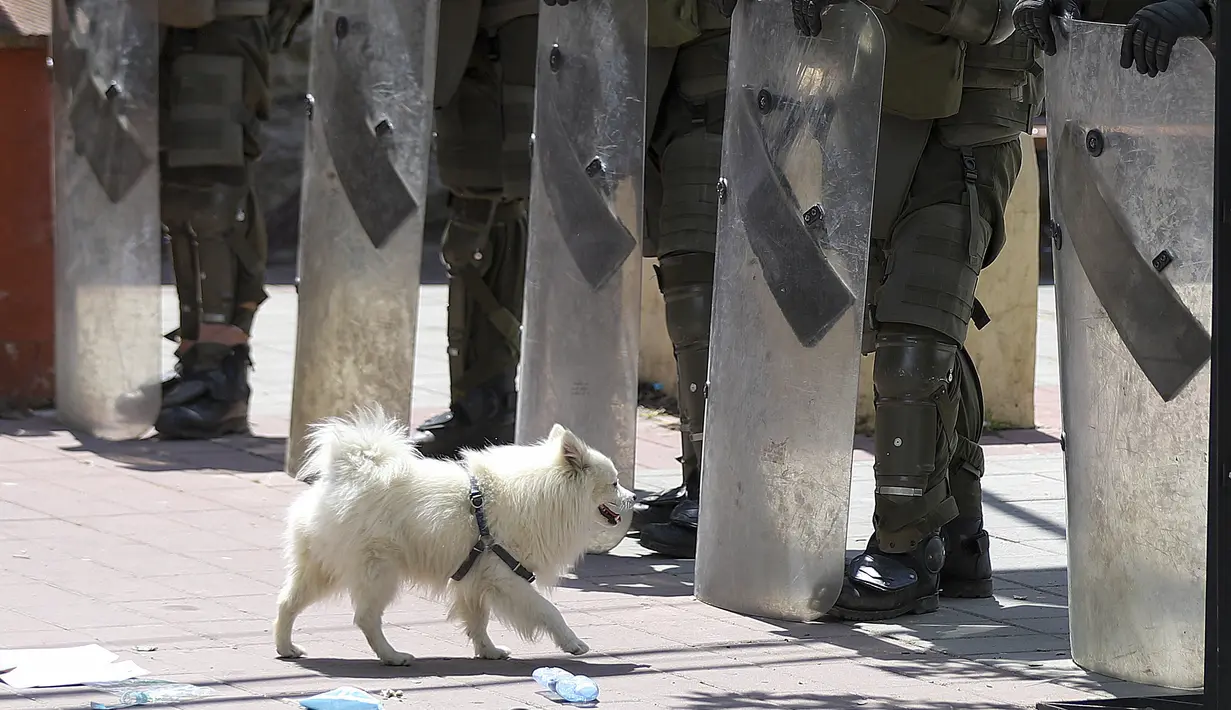 Pasukan penjaga perdamaian yang dipimpin NATO di Kosovo telah menggunakan pagar besi dan kawat berduri untuk memperkuat posisi di sebuah kota di bagian utara setelah bentrokan dengan etnis Serbia yang menyebabkan 30 tentara terluka. (AP Photo/Marjan Vucetic)