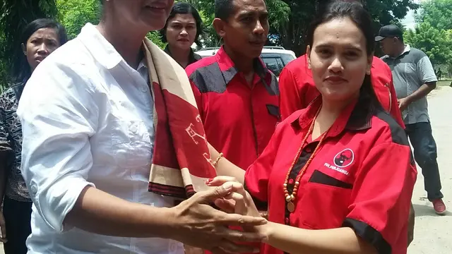 Pilkada NTT