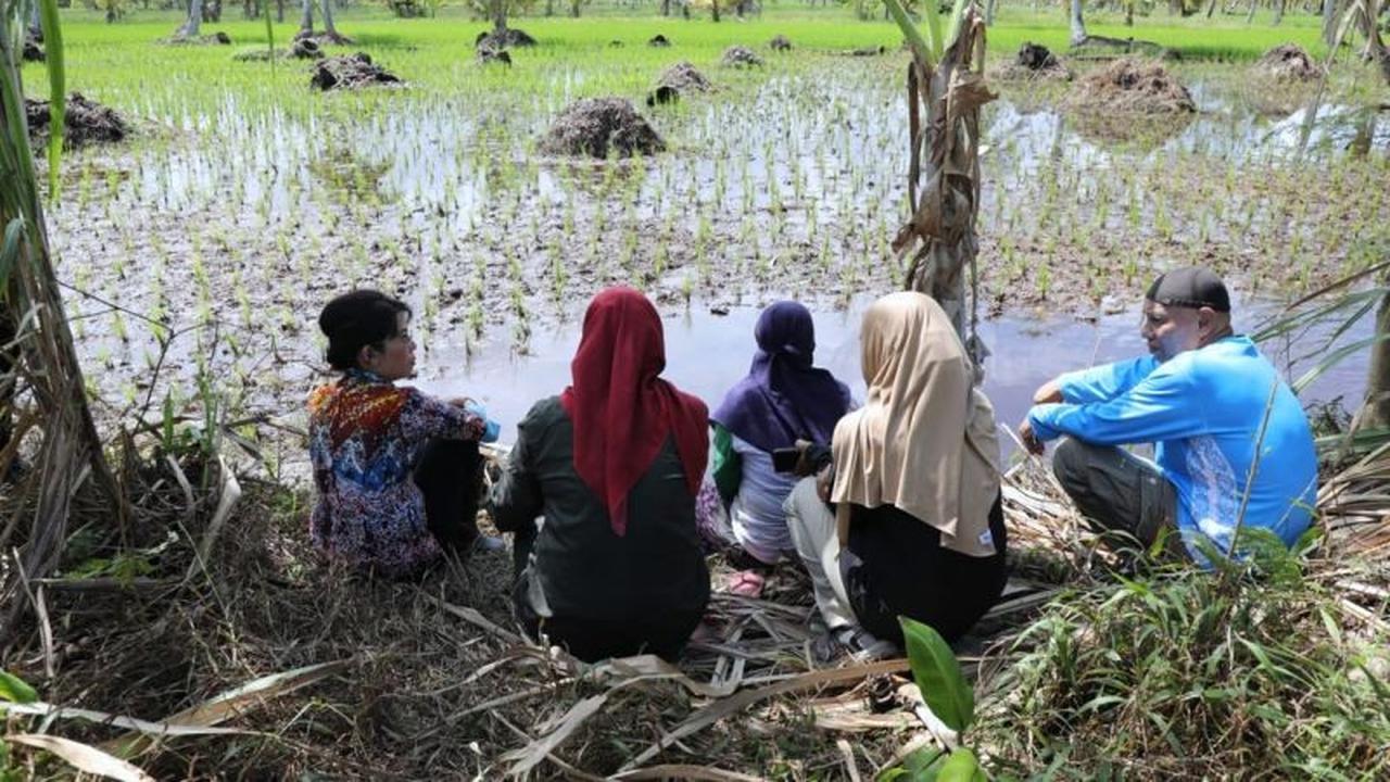 Perkuat Sektor Pertanian, Pemkot Singkawang Bangun Jaringan Irigasi Air Tanah
