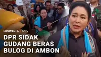 Titiek Soeharto Sidak Gudang Bulog di Ambon, Pastikan Mutu Beras