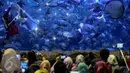 Sejumlah pengunjung melihat aksi Penyelam mengenakan kostum Santa Claus saat memberikan makanan kepada kumpulan ikan di aquarium besar Sea World, Taman Impian Jaya Ancol, Jakarta, Minggu (25/12). (Liputan6.com/Faizal Fanani)