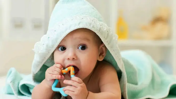 Photo: Copyright Thinkstockphotos.com