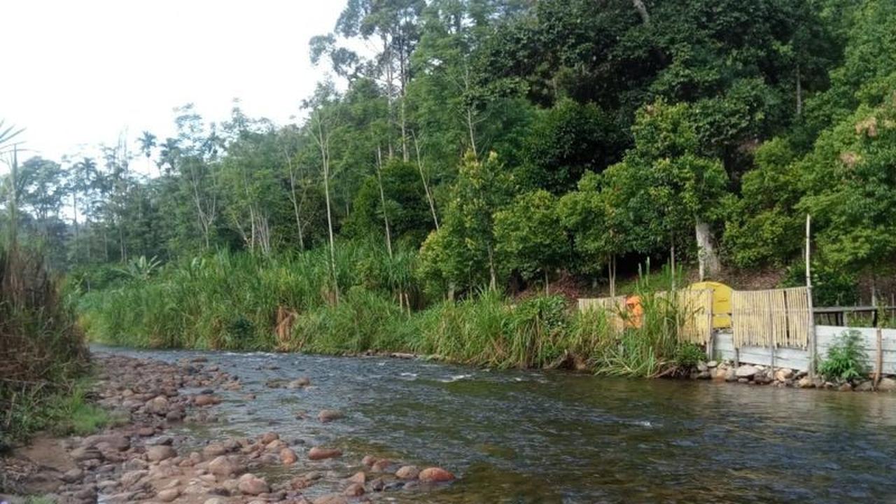 Kabupaten Sarolangun Usulkan Sembilan Hutan Adat Baru, Perluas Konservasi Lingkungan