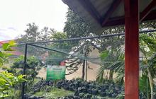 Tahukah Anda Mengapa Monyet Masuk Permukiman di Batam? BBKSDA Riau Ungkap Penyebabnya