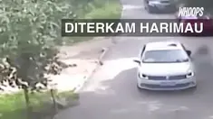 Larangan keluar dari mobil ternyata tak dihiraukan wanita malang yang akhirnya harus kehilangan nyawa.