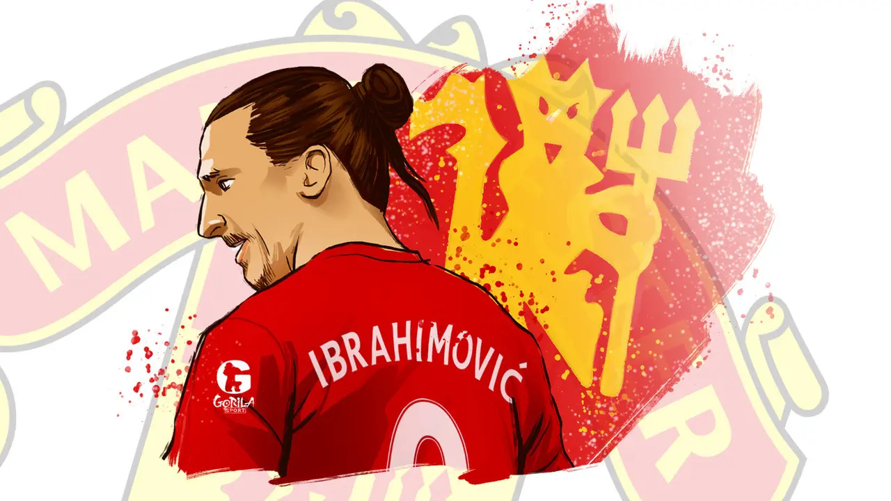 Gorilasport Ibrahimovic 2
