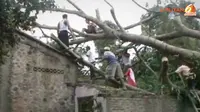 [VIDEO] Angin Puting Beliung `Hantam` Klaten dan Padang