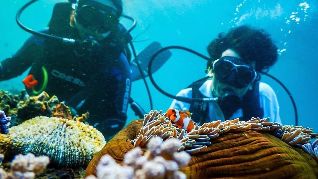 Bangsring Underwater