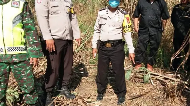 Penebang Tebu di Ogan Ilir Temukan Tengkorak Manusia di Semak-Semak
