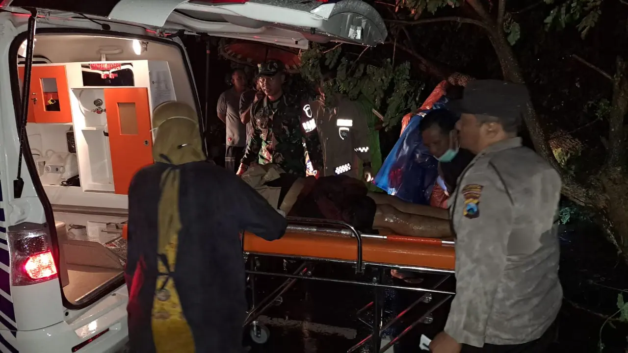 Seorang warga Desa Blimbingsari tewas tertimpa pohon ketika melintas di jalan  Desa Blimbingsari (Istimewa)