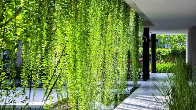 Rumah Modern Tropis dengan Tanaman Rambat