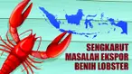 THUMBNAIL SPECIAL KONTEN LOBSTER