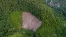 Dalam analisisnya  World Resources Institute menyebut Indonesia mengalami peningkatan kehilangan hutan primer sebesar 27% pada tahun 2023 dibandingkan tahun sebelumnya. (AP Photo/Yusuf Wahil)