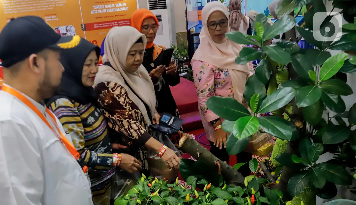 Mengusung tema ‘Sinergi Global Menuju Kota Hijau Berkelanjutan’, Festival Urban Farming edisi ke-4 ini diikuti oleh 50 tenan yang menampilkan berbagai produk pertanian urban seperti tanaman, pupuk, bibit tanaman hingga buah-buahan. (Liputan6.com/Herman Zakharia)