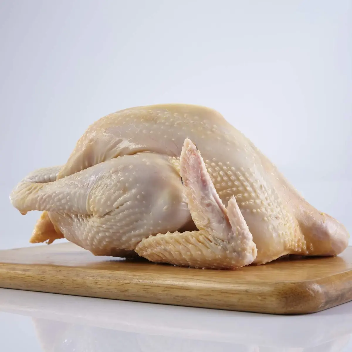 Agar Ayam Potong Awet