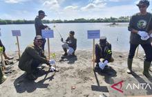 Pemerintah Aceh Bersama Industri Migas dan LSM Tanam 1.000 Mangrove, Perkuat Lingkungan Pesisir