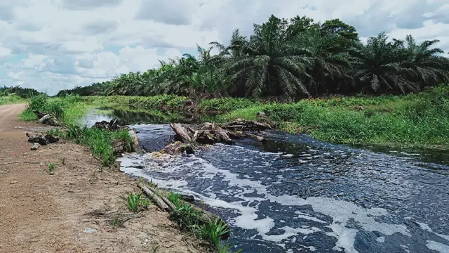 Kanal di Lahan Gambut