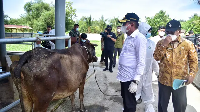 Gubernur Sumut, Edy Rahmayadi