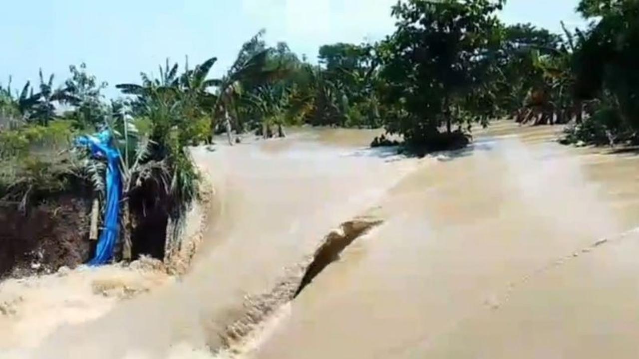 Tanggul Sungai Tuntang Jebol, Banjir Demak Kembali Landa Dua Desa di Guntur