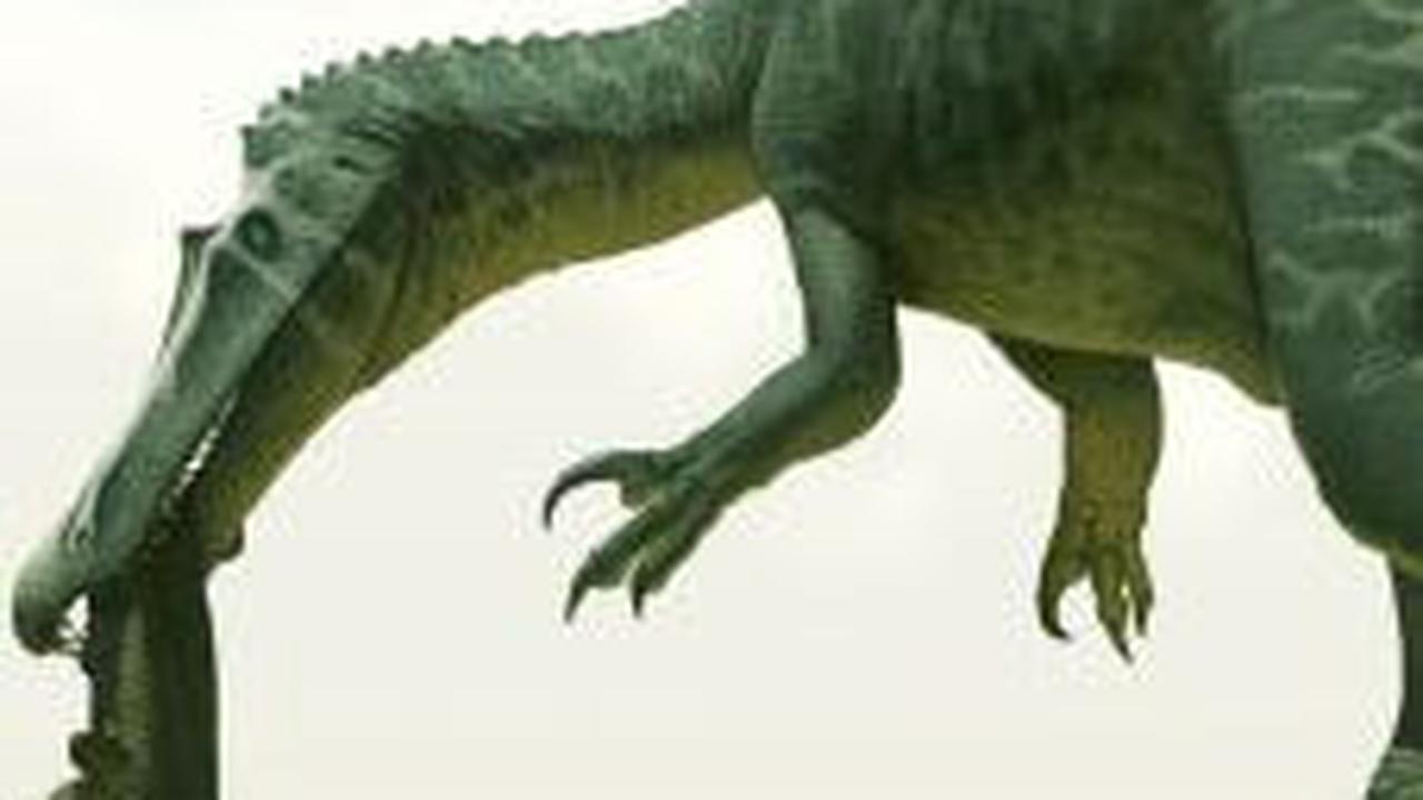 Penemuan Spinosaurus di Dunia