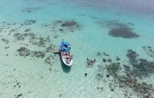 Menilik Keindahan Bawah Laut Indramayu, Punya Surga Tersembunyi yang Wajib Dikunjungi