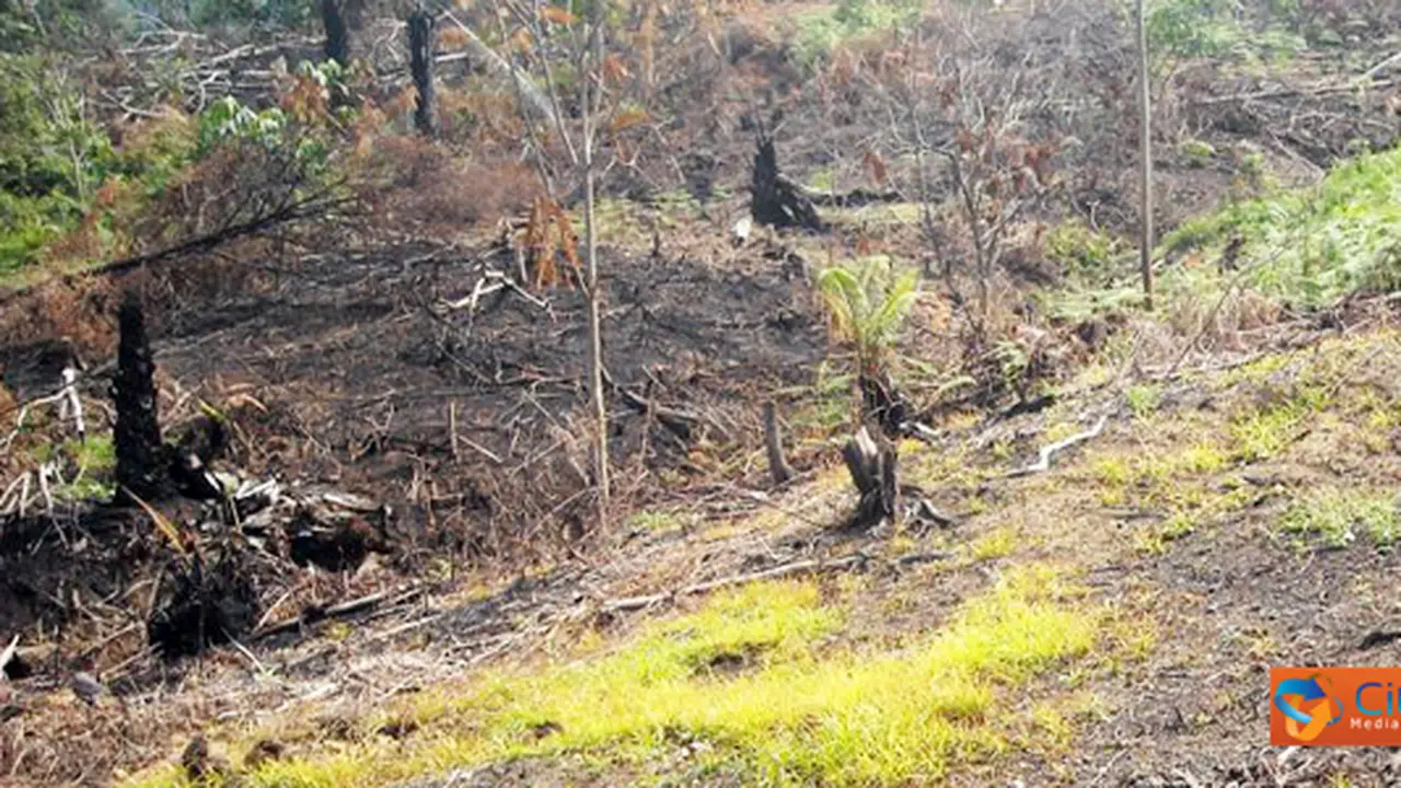 Ketika Bukit Barisan Menanggis