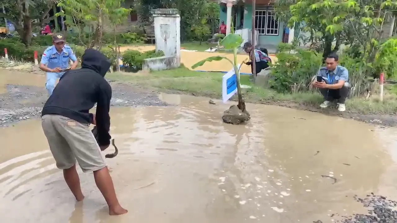 Warga melepaskan ratusan ekor ikan lele ke dalam jalan rusak yang digenangi air sebagai protes terhadap Pemda Lampung Selatan. Foto : (Istimewa).