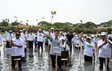Fakta Unik: Indonesia Punya Ekosistem Bakau Terbesar di Dunia, Wapres Tanam Bakau Dukung Pemulihan Pesisir Banten
