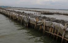 Identitas Pemilik Pagar Laut di Tangerang Akhirnya Terungkap, Kena Denda Rp540 Juta