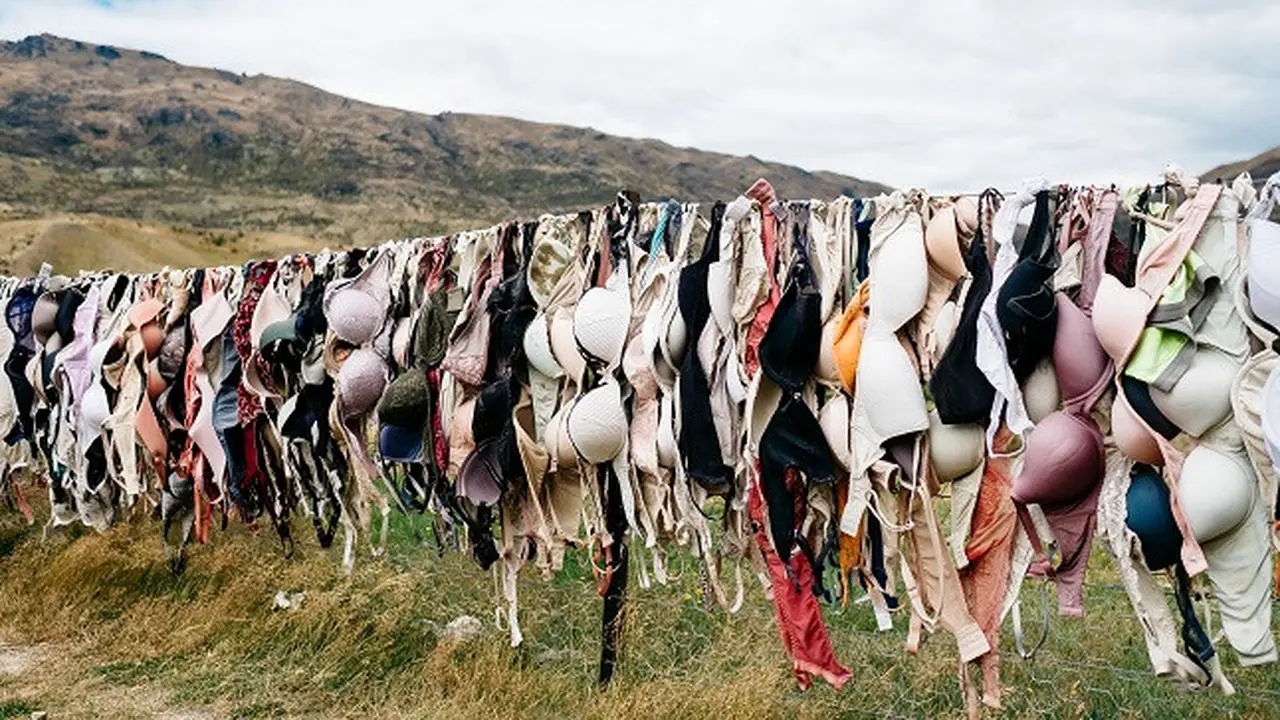 Bra/Unsplash Pablo