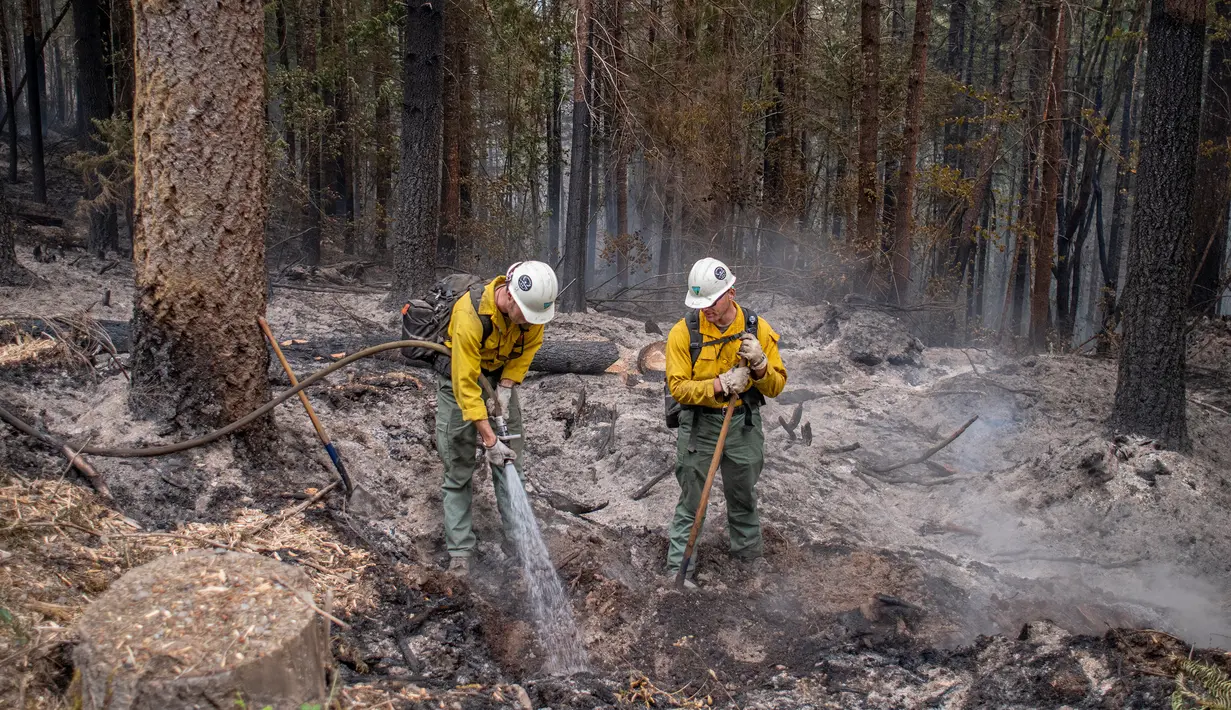 <p>Tim pemadam kebakaran bekerja di titik-titik api Cedar Creek, sebelah timur Oakridge, Oregon, Senin (12/9/2022). Selain memaksa penduduk untuk melarikan diri, api yang berkobar di luar kendali juga mengancam kota-kota serta ribuan rumah. (Photo by Dan Morrison/AFP)</p>