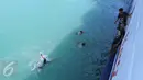 Sejumlah anak menceburkan diri ke laut untuk memburu koin yang dilemparkan penumpang dari atas kapal di Pelabuhan Merak, Banten, Jumat (26/8). Aksi itu menjadi hiburan bagi penumpang yang akan menyeberang ke Pulau Sumatera. (Liputan6.com/Angga Yuniar)