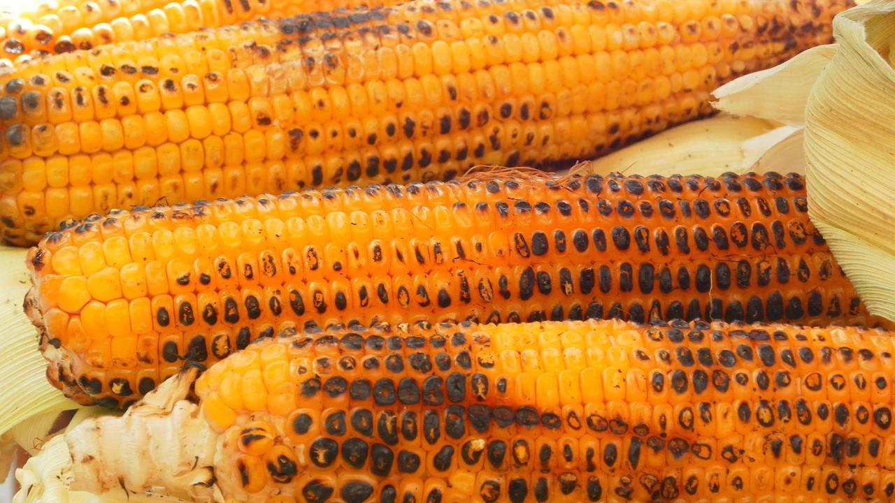 7 Trik Simpan Jagung Bakar Sisa Tahun Baru 2026 Supaya Tidak Kering & Tahan Lama