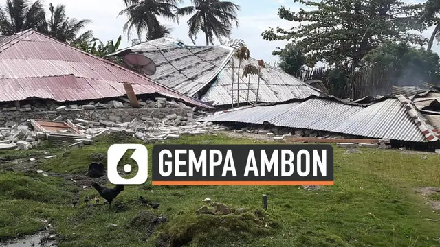 BMKG mengidentifikasi ribuan gempa terjadi di Ambon, Maluku setelah guncangan yang terjadi tanggal 26 September 2019.