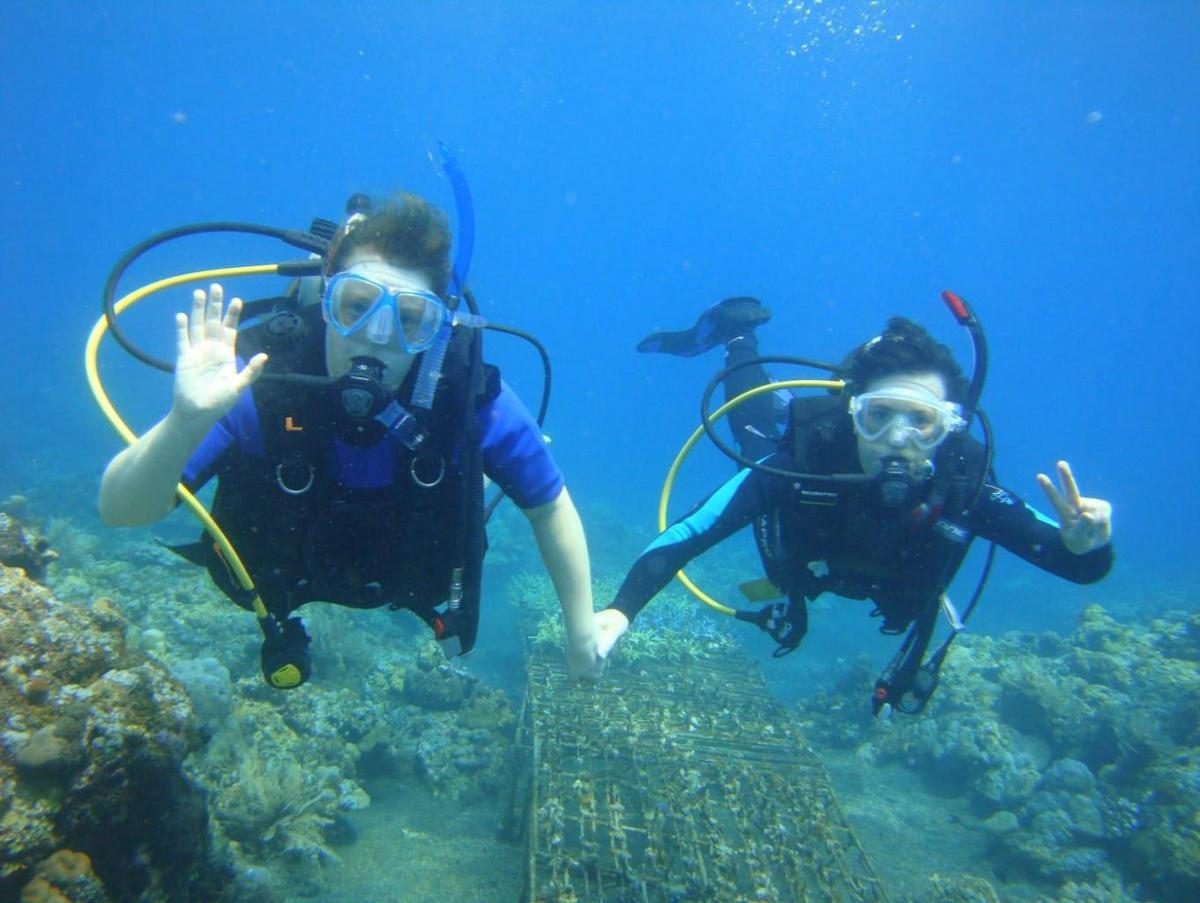 Desa Wisata Les Buleleng