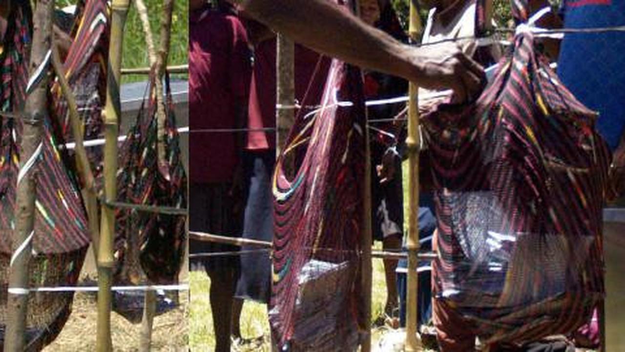 Noken diakui UNESCO sebagai warisan dunia
