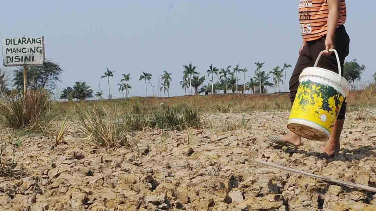 Pemerintah Akui Kurang Antisipasi Dampak El Nino di Indonesia