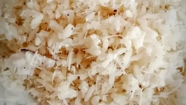 Nasi Karak