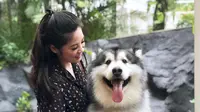 Selain Bobby Kertanegara, Anjing Milik Vany Lim Ini Terkenal Hingga Punya 158 Ribu Pengikut di Medsos