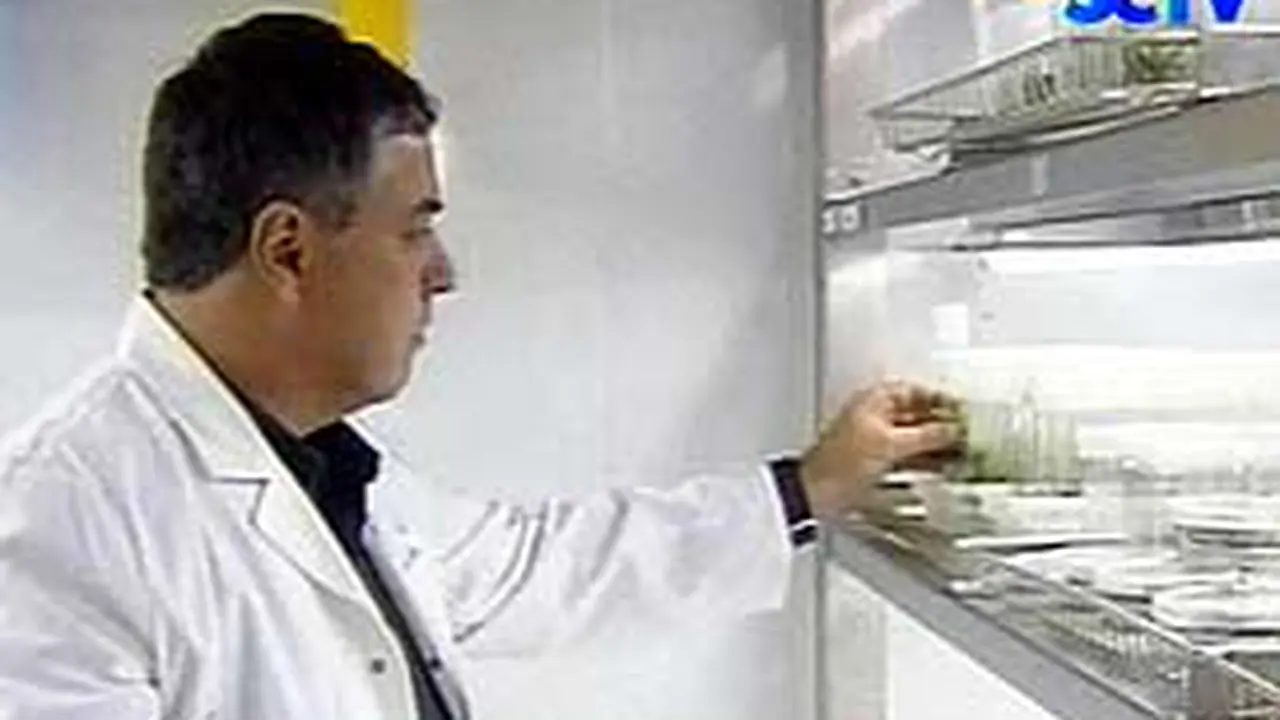 020705aLnGenTumbuhan.jpg