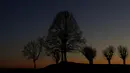 Pohon terlihat saat matahari terbenam di bukit di Wina, Austria (12/3). Warna merah di langit pada waktu Matahari terbenam dan terbit disebabkan oleh kombinasi hamburan Rayleigh warna biru dan tingkat kepadatan atmosfer bumi. (Reuters/Leonhard Foeger)