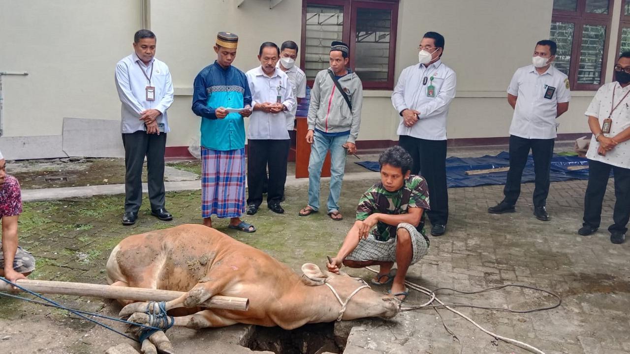 Jelang Idul Adha, Simak Aturan Pembagian Daging Kurban Sesuai Ajaran Islam yang Bermakna dan Penuh Berkah