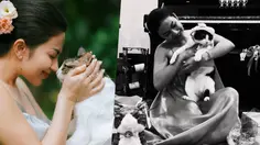 Potret Ariel Tatum Gelar Pesta Ultah Untuk Kucing Kesayangan, Dapat Banyak Kado!