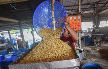FOTO: Harga Kedelai Impor Naik Produsen Tahu Kurangi Ukuran Produk