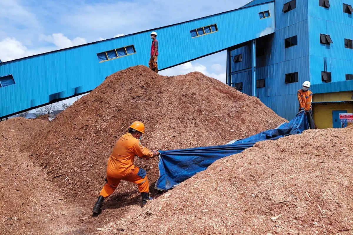 PLN berhasil melakukan uji coba penggunaan 75 persen biomassa Woodchips (kepingan kayu) untuk bahan bakar pengganti batu bara (cofiring) di PLTU Bolok dengan kapasitas 2x16,5 Megawatt (MW) di Kupang, Nusa Tenggara Timur (NTT). (Dok PLN)