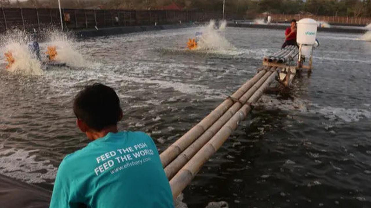 Lika-Liku eFishery: Dari Inovasi Akuakultur Jadi Startup Unicorn, Kini Terjerat Skandal Keuangan, PHK Massal, Hingga Pendirinya Dipenjara