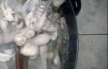 Cuma 30 Menit, Ini Trik Rebus Ayam Kampung Tanpa Presto dengan Cepat
